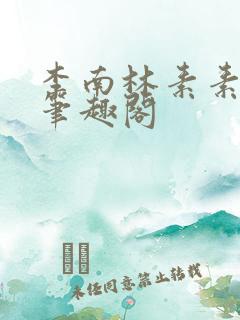 李南林素素小说笔趣阁