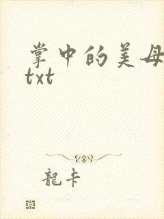 掌中的美母版主txt