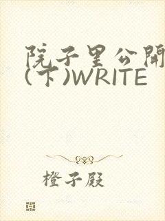 院子里公开惩戒(下)WRITE