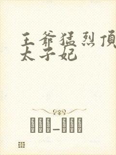 王爷猛烈顶弄H太子妃