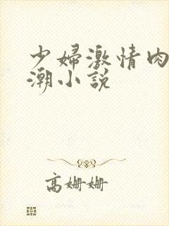 少妇激情肉欲高潮小说
