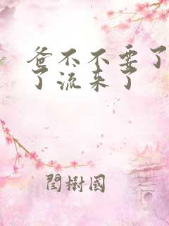 爸不不要了太满了流来了