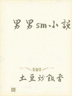 男男sm小说