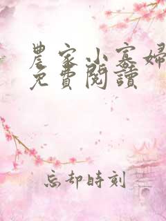 农家小寡妇全文免费阅读