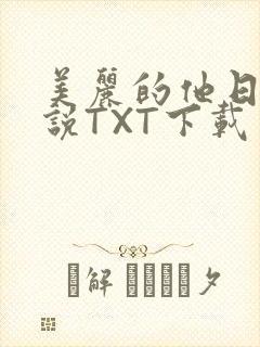 美丽的他日剧小说TXT下载
