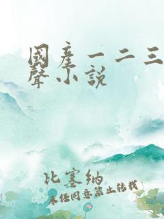 国产一二三区有声小说