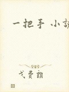 一把手 小说