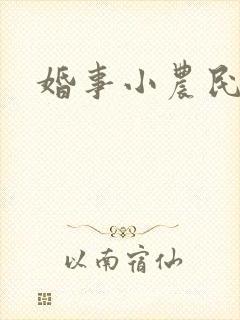 婚事小农民