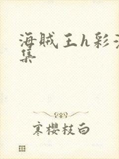 海贼王h彩漫画集