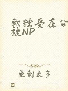 软糯受在公交车被NP