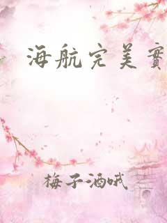 海航完美实习生