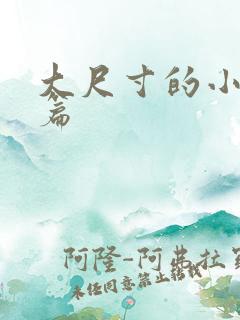 大尺寸的小说短篇