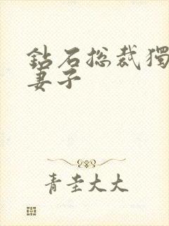 钻石总裁独宠小妻子