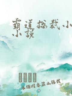 霸道总裁小娇妻小说