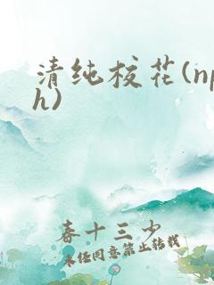 清纯校花(nph)
