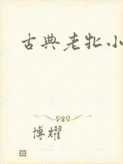 古典老牝小说