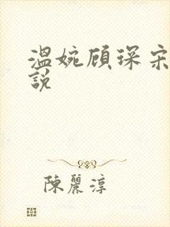 温婉顾琛宋芝小说