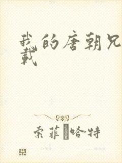 我的唐朝兄弟下载