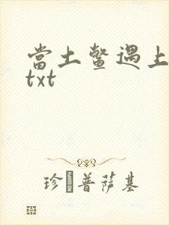 当土鳖遇上海龟txt