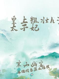 皇上粗壮h灌满太子妃