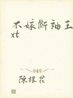 不嫁断袖王爷txt