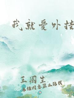 我就爱外挂
