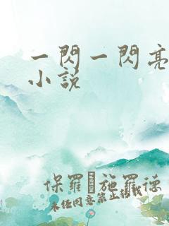 一闪一闪亮晶晶小说