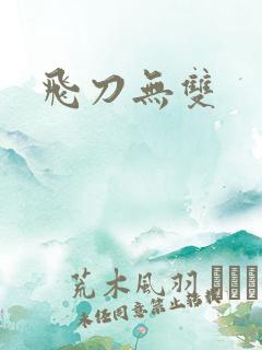 飞刀无双
