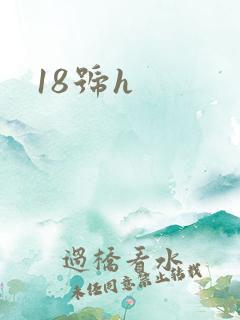 18号h