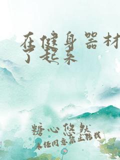 在健身器材上做了起来