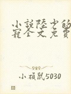 小说陆少的心尖宠全文免费阅读