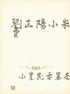 刘正阳小米多免费