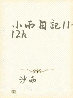 小雨日记11-12h