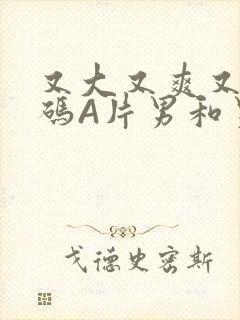 又大又爽又黄无码A片男和男