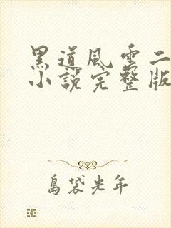 黑道风云二十年小说完整版