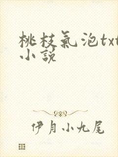 桃枝气泡txt小说