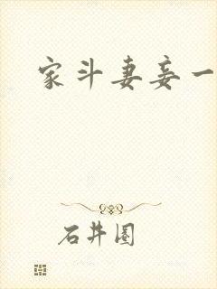 家斗妻妾一家欢