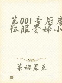 第001章厨房征服贵妇小说