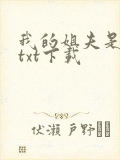 我的姐夫是太子txt下载