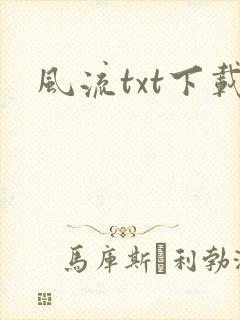 风流txt下载