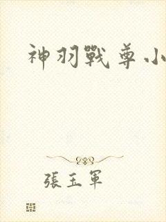神羽战尊小说