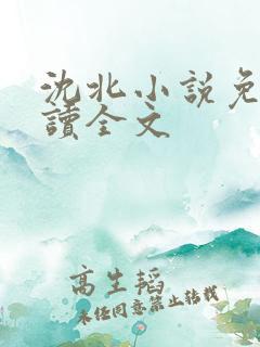 沈北小说免费阅读全文