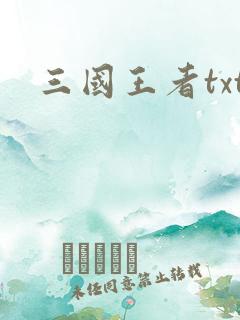 三国王者txt