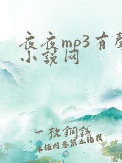 夜夜mp3有声小说网