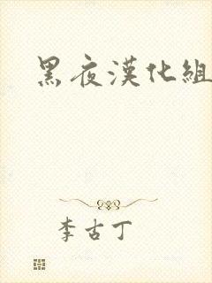 黑夜汉化组