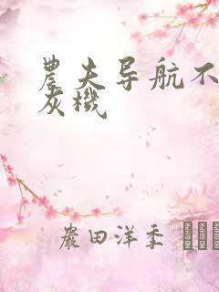 农夫导航不要打灰机