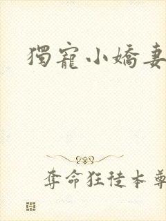独宠小娇妻