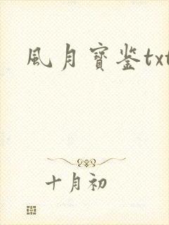 风月宝鉴txt