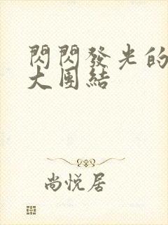 闪闪发光的小说大团结