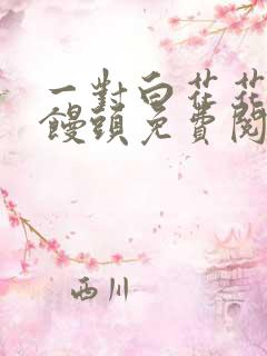 一对白花花的大馒头免费阅读